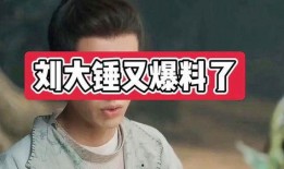 刘大锤最新爆料原版,原版背后的惊人真相