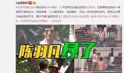 综艺爆料陆石川视频全集,陆石川视频全集幕后故事大揭秘